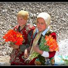 VENDEUSES - DE - TULIPES