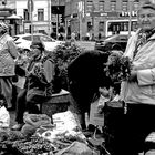 Venditrici in piazza Vladimirskaya, San Pietroburgo