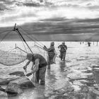 Vendredi, jour du poisson