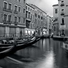 Venecia