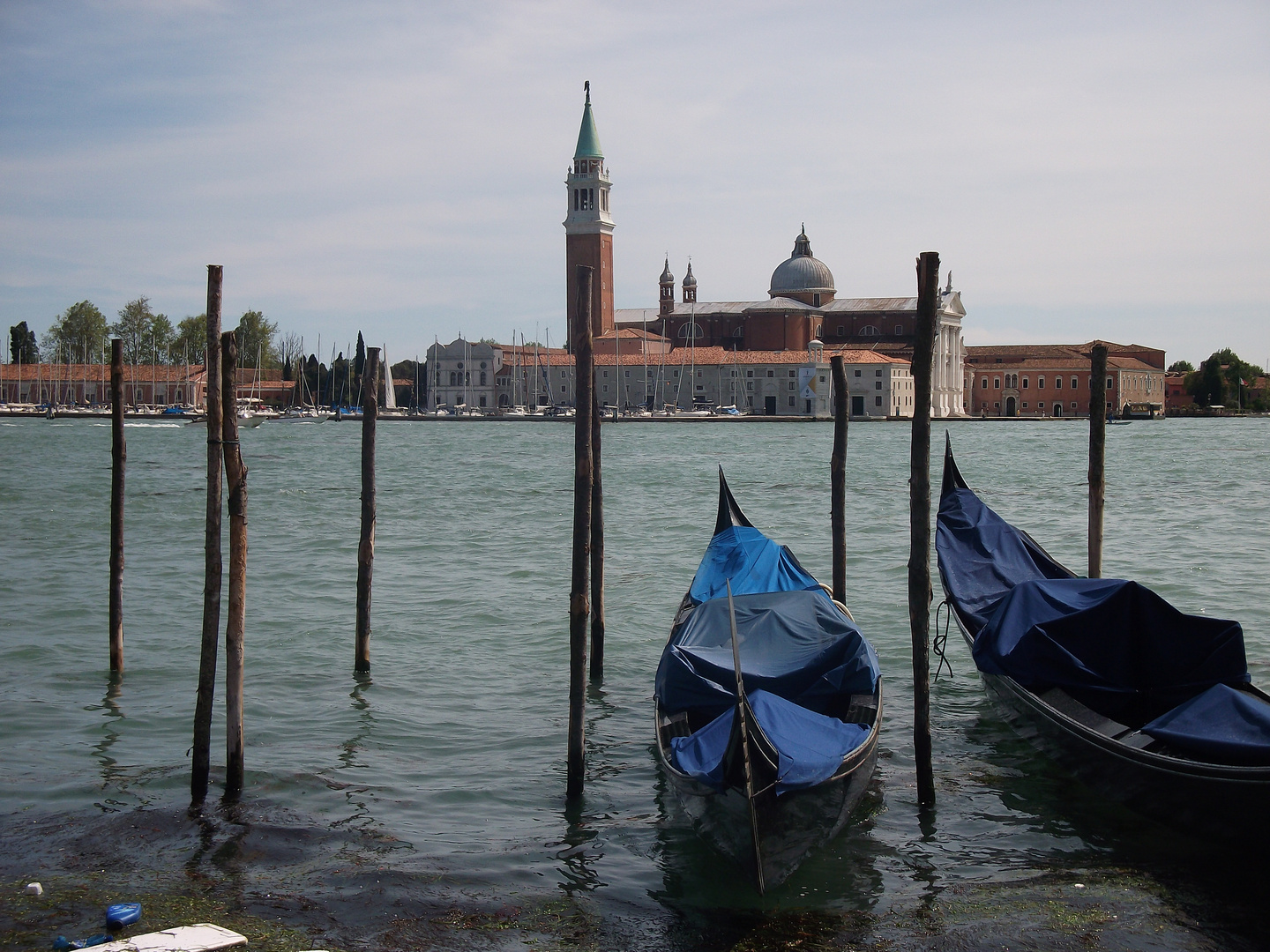 Venecia