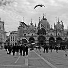 Venecia en blanco y negro III