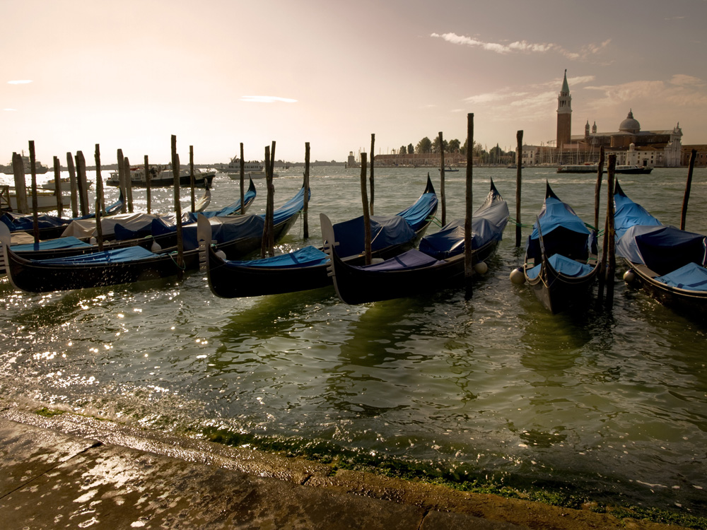 Venecia. Gondolas. al fondo S. Giorgio maiore