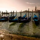 Venecia. Gondolas. al fondo S. Giorgio maiore