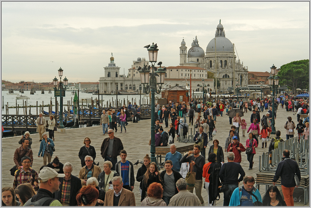 Venecia....salute !