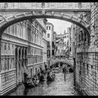 VENEDIG 08