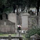 Venedig 10/VI - Jüdischer Friedhof