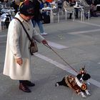 Venedig 1996