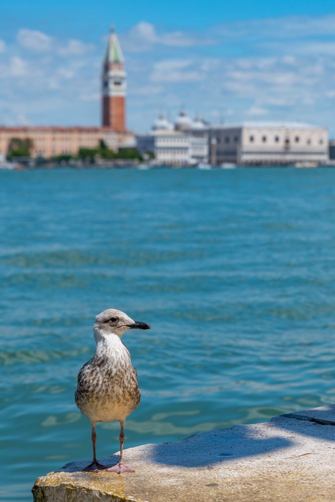 Venedig