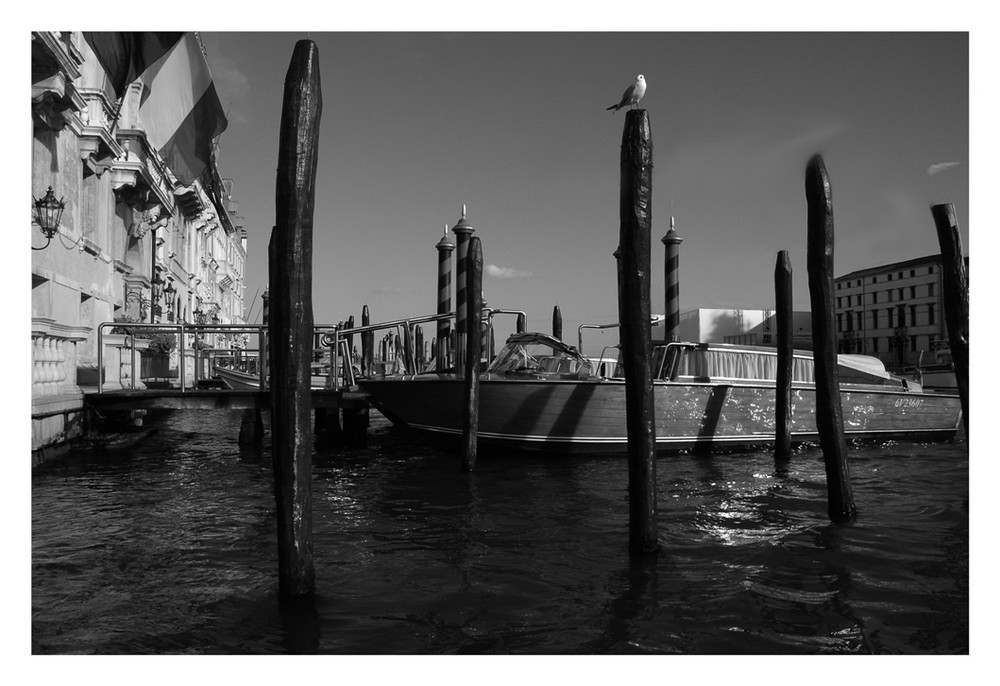 Venedig 2.