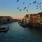 Venedig 2009 - I -