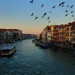 Venedig 2009 - I -