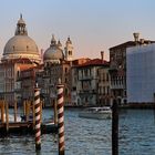 Venedig 2009 - VIII - Santa Maria della Salute