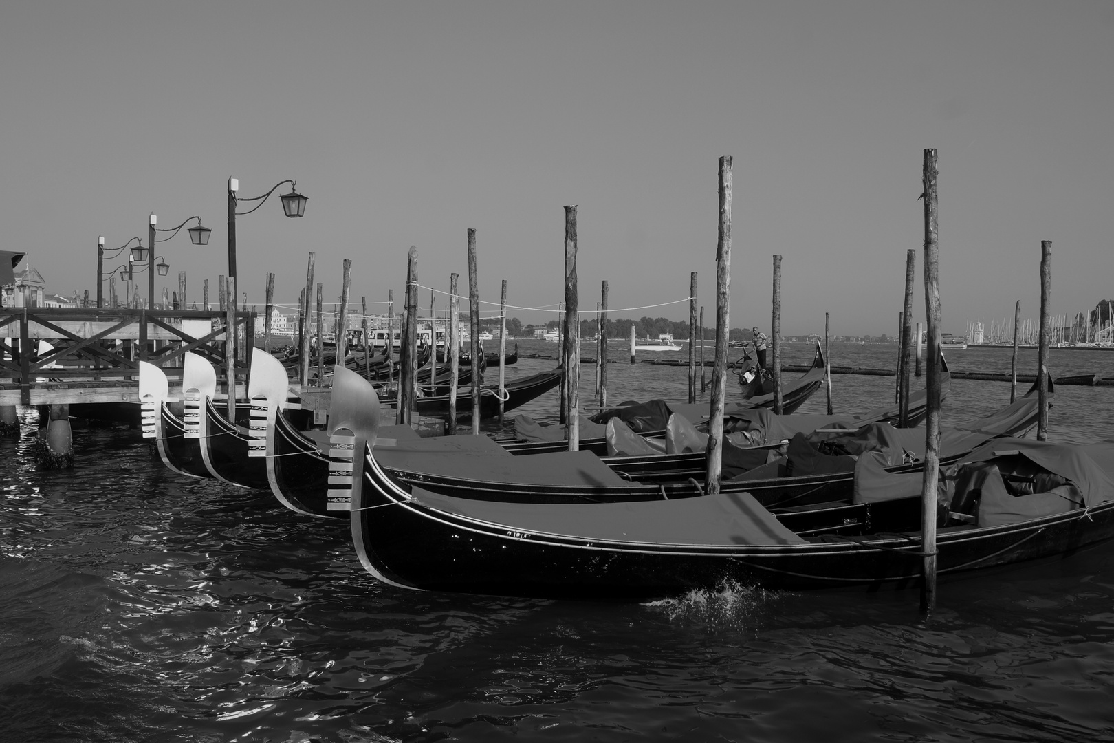 Venedig  2015