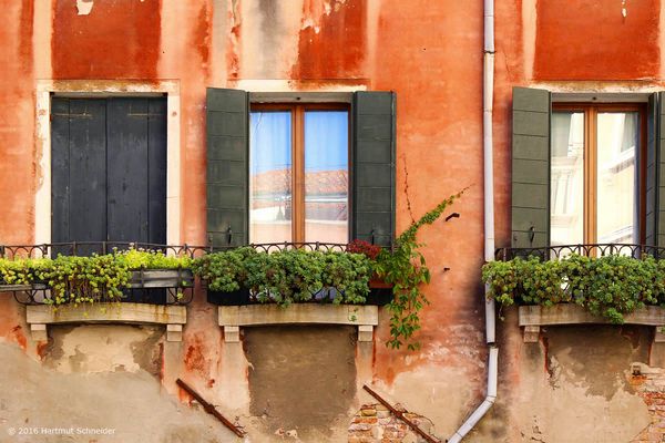 Venedig 2916 - Blick ins Fenster