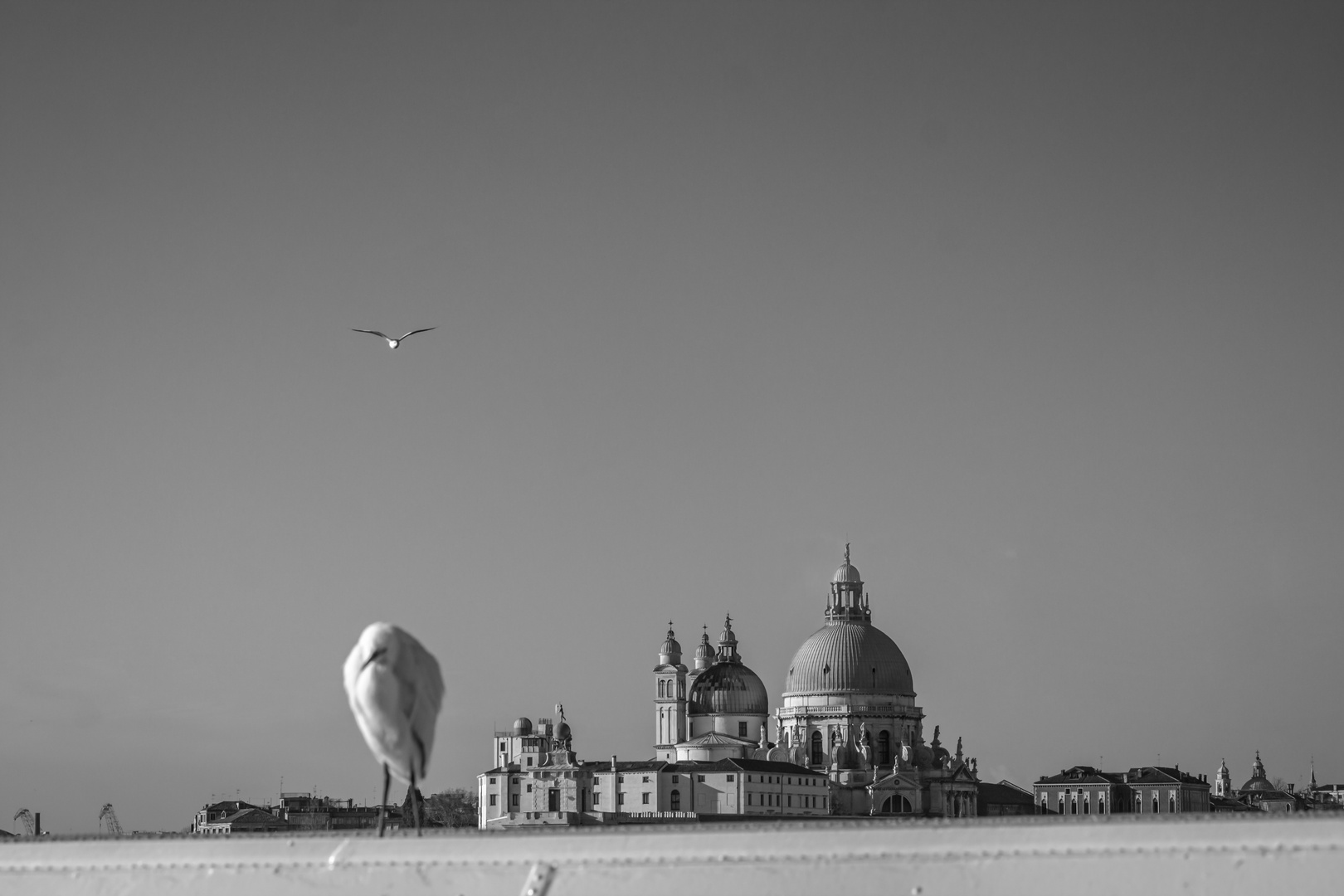 venedig