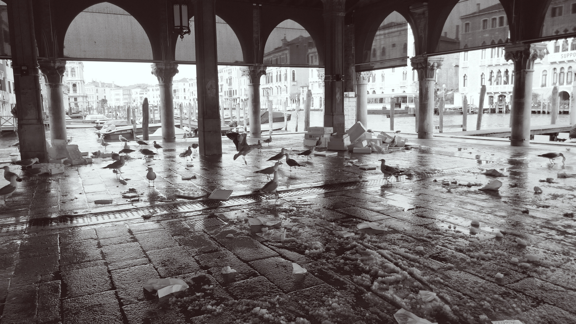 Venedig #7