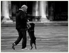 Venedig (8)