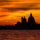 Venedig _8