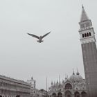 Venedig #9