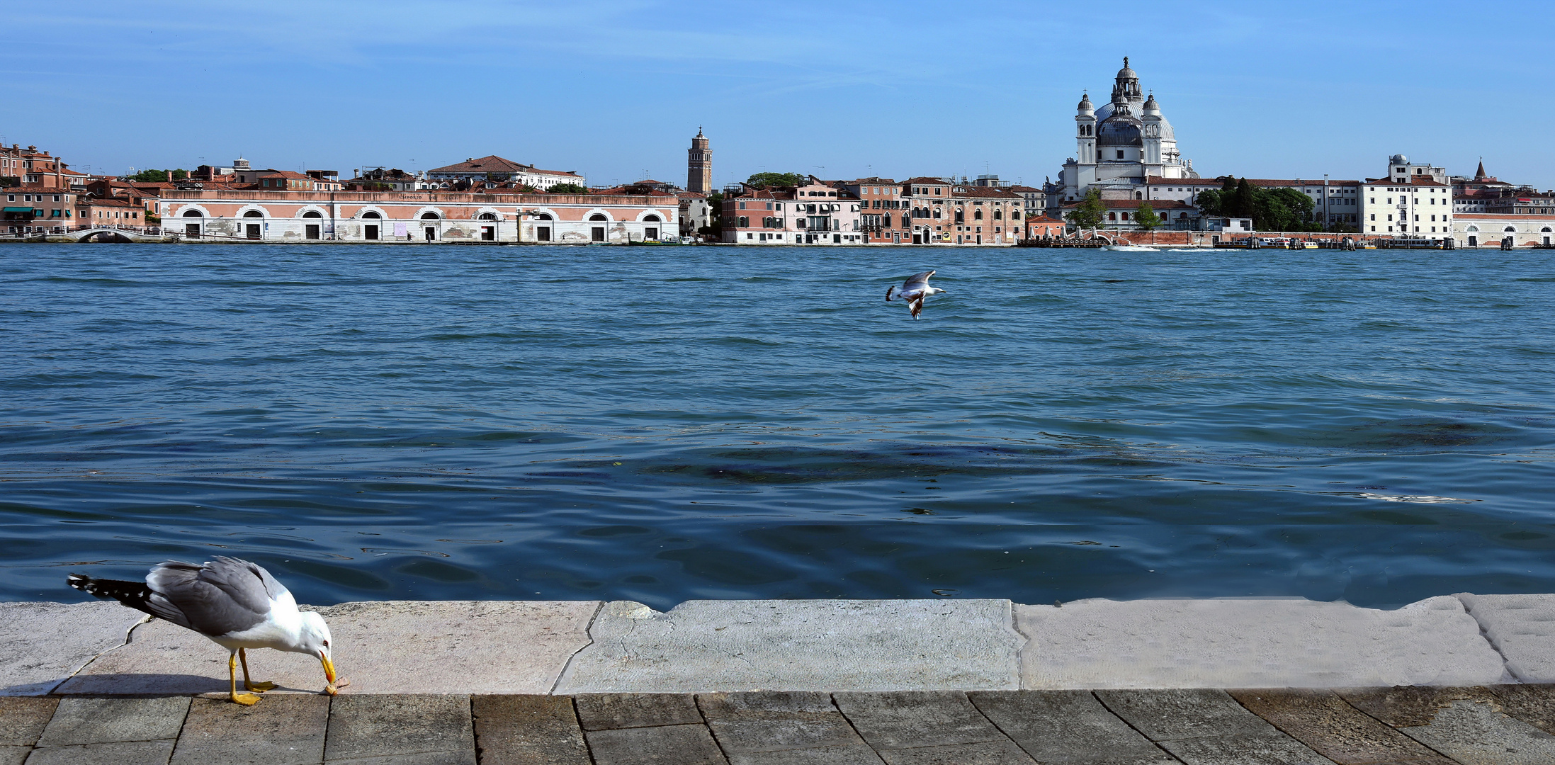 VENEDIG