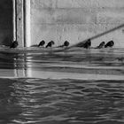 Venedig Acqua Alta 14