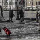 Venedig, an der Salute