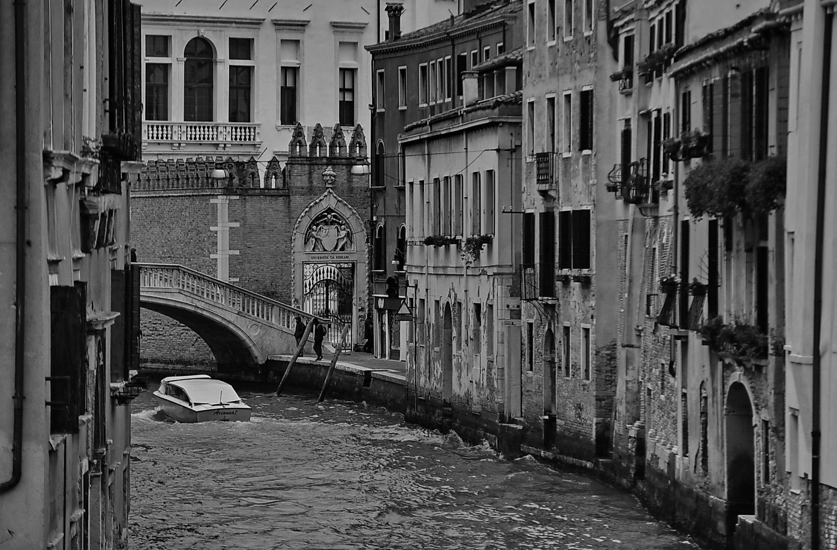 venedig analog VII