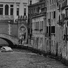 venedig analog VII