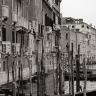 venedig analog X LETZTES