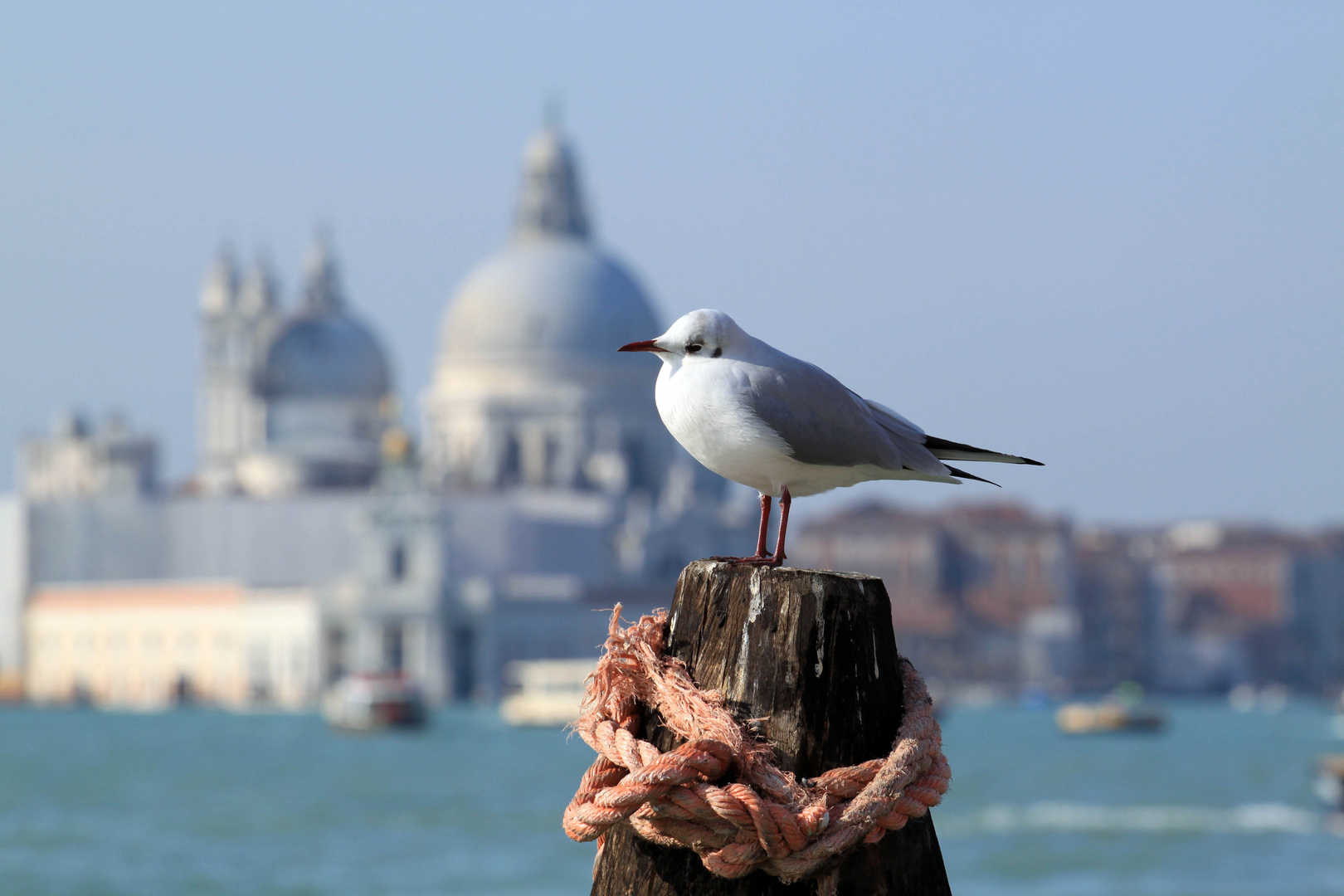 Venedig aus der Vogelperspektive
