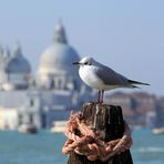 Venedig aus der Vogelperspektive