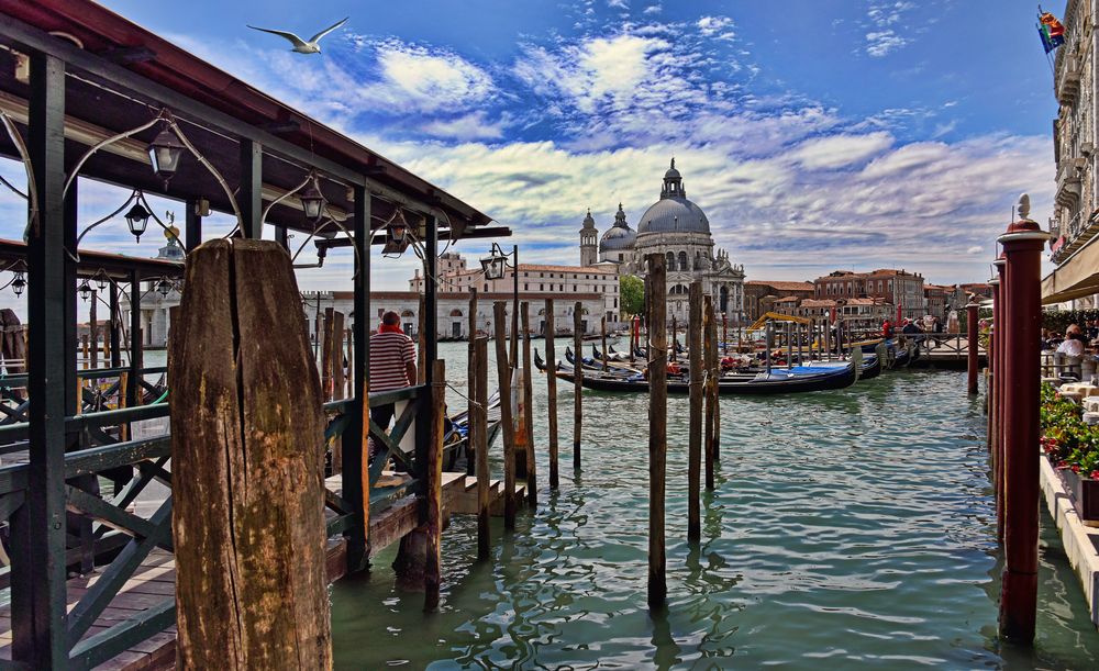 VENEDIG - Blick auf die SANTA MARIA DELLA SALUTE -