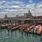 VENEDIG  - Blick auf die Santa Maria della Salute -