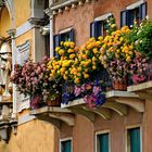 Venedig, Blumenbalkon