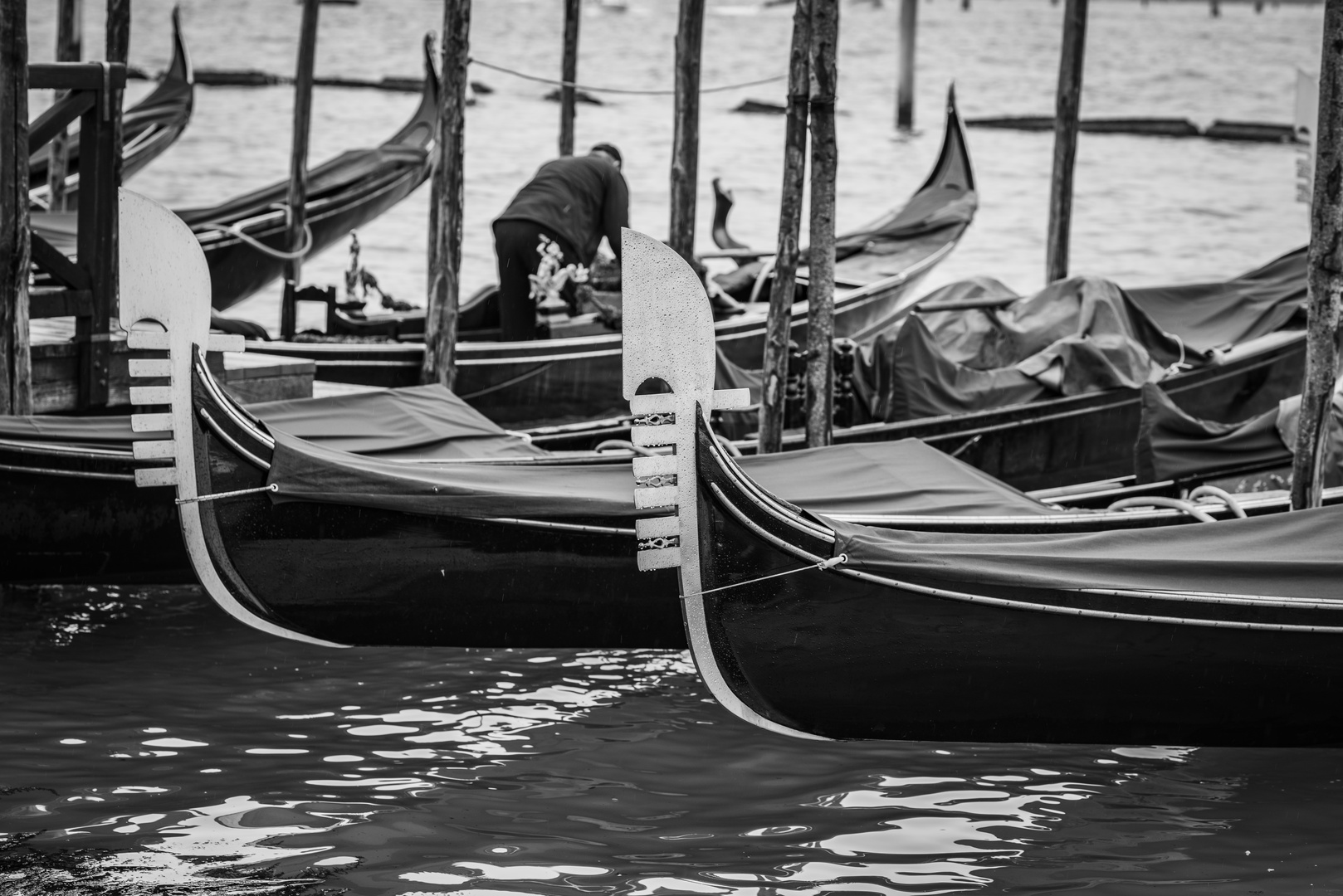 Venedig B/W