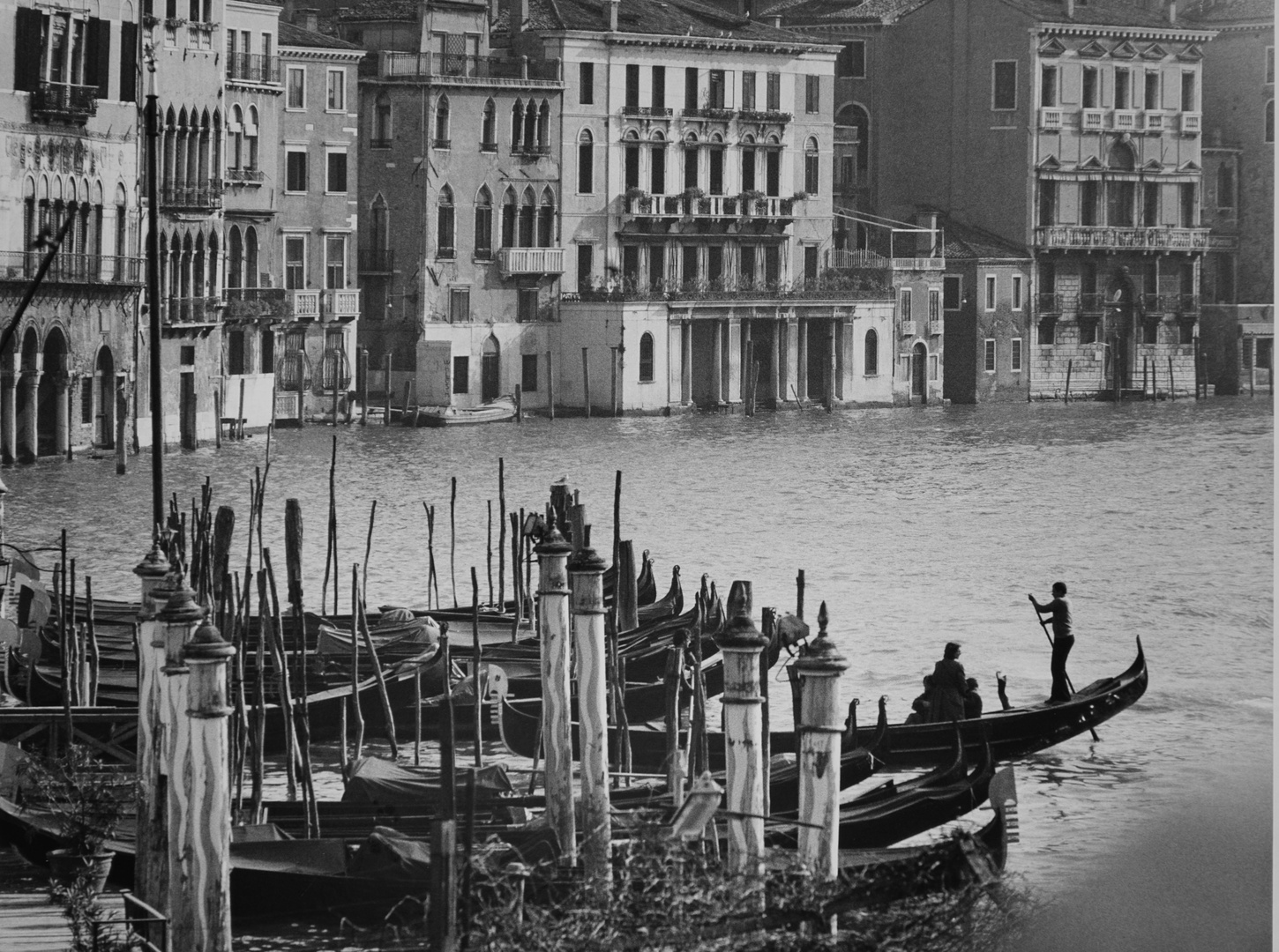 Venedig Canal Grande