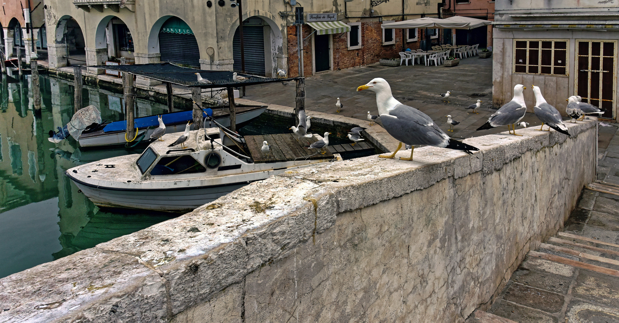 VENEDIG   - Chioggia  -