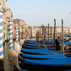 Venedig & der Canal Grande
