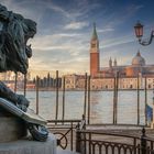 Venedig: der schnurrende Kater