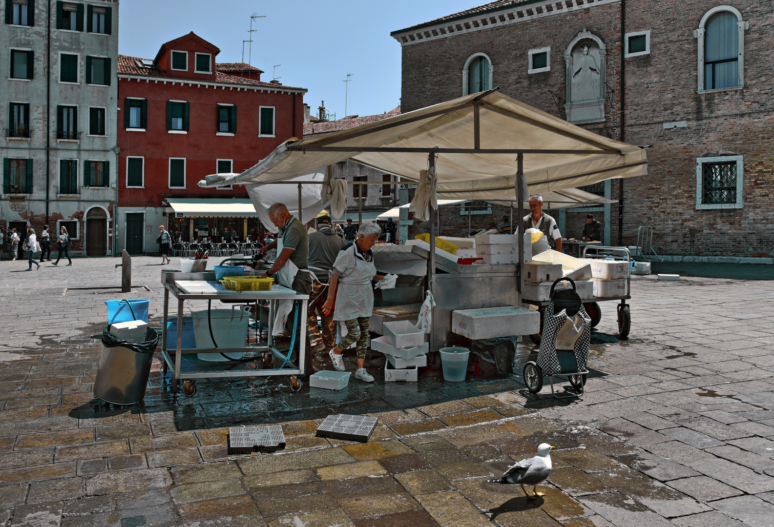 VENEDIG  - Frischer Fisch -