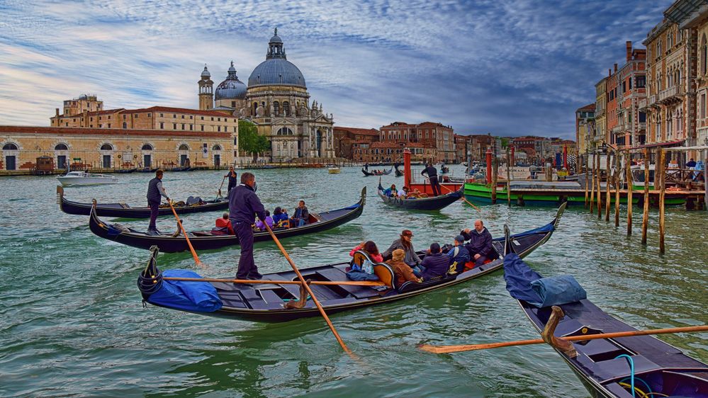 VENEDIG   -Gondoliere -  