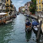  Venedig ---Gondoliere---