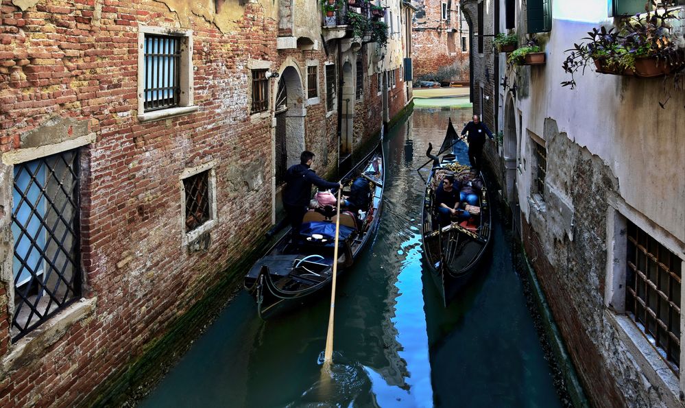 VENEDIG   - Gondoliere -