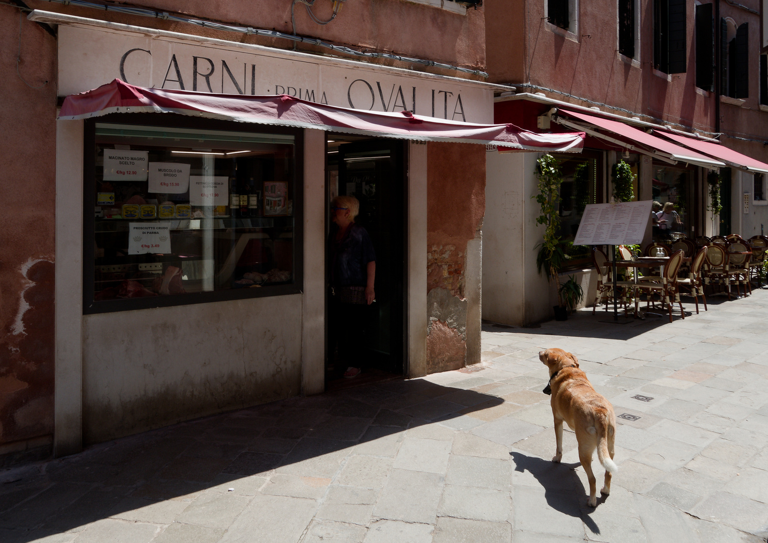 Venedig: Hund beobachtet Herrchen im Fleischereigeschäft