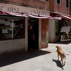 Venedig: Hund beobachtet Herrchen im Fleischereigeschäft