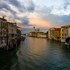 Venedig im Juni 2020 (1)