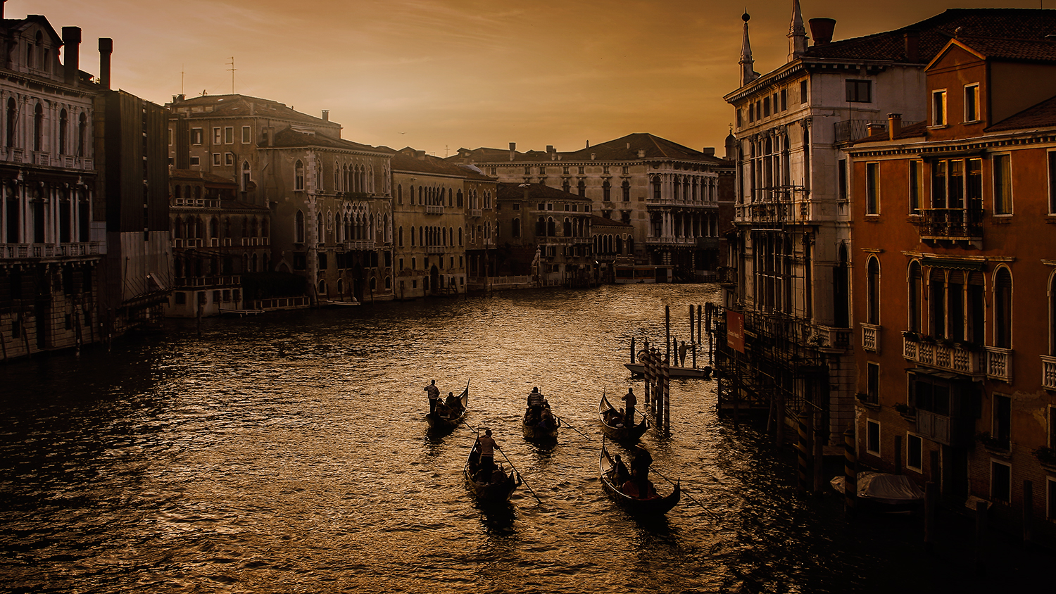 Venedig in Gold