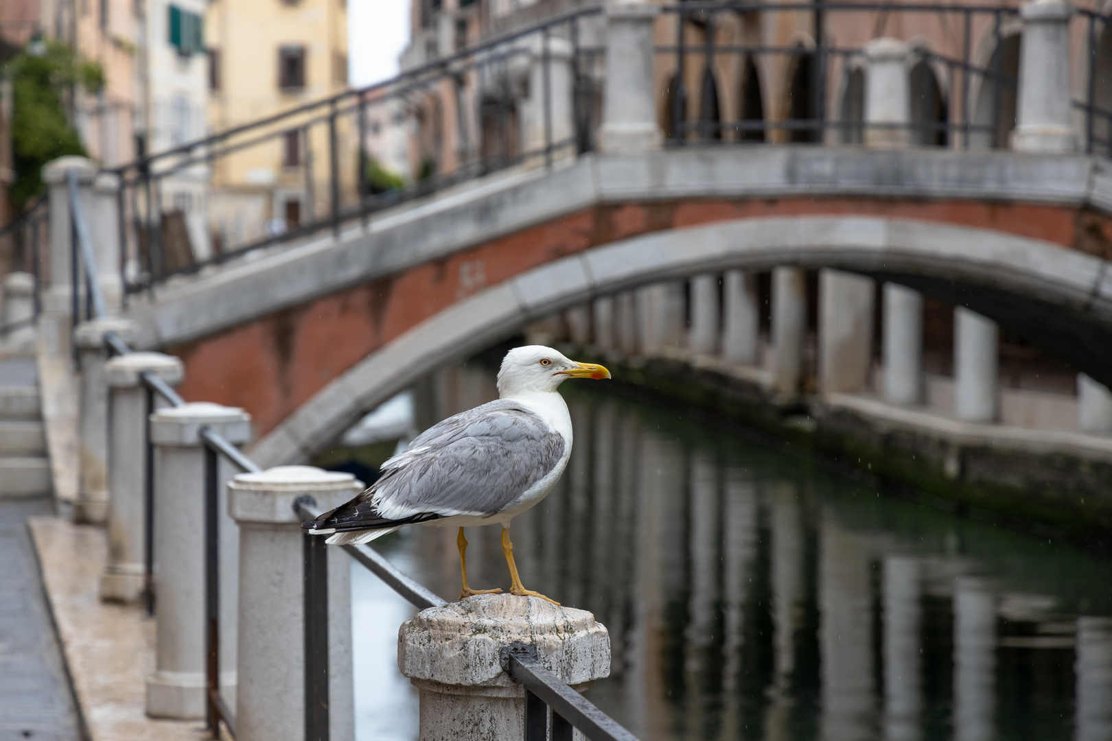 Venedig Juni 2020 (6)