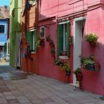 VENEDIG   - kunterbuntes Burano -